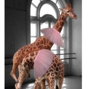 Meet your Posher, Girafficorn